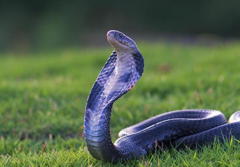 1623554732814783.jpg 1.jpg