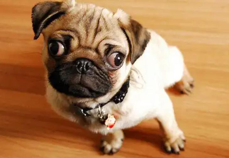 1773635837596969.jpg 10.jpg