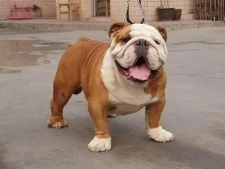 1773635906194518.jpg 9.jpg