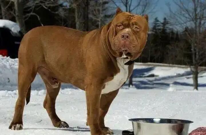 1773635947473498.jpg 8.jpg