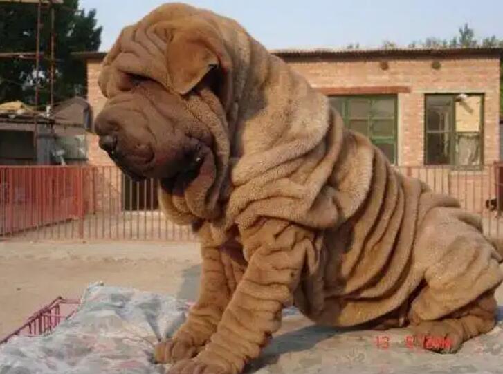 1773636025202432.jpg 7.jpg