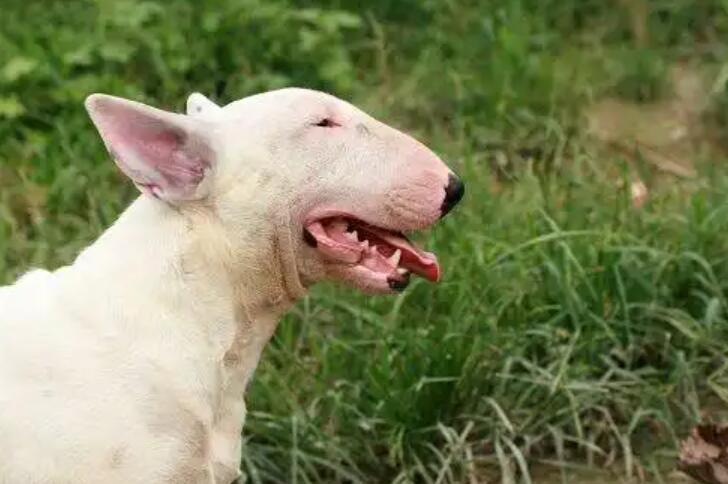 1773636060841538.jpg 6.jpg