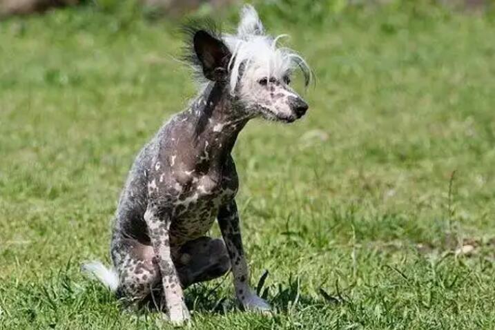 1773636147817635.jpg 4.jpg