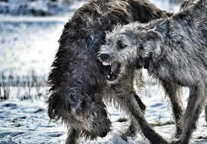 1773636192408987.jpg 3.jpg