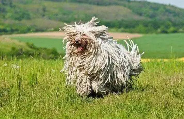 1773636236748427.jpg 2.jpg