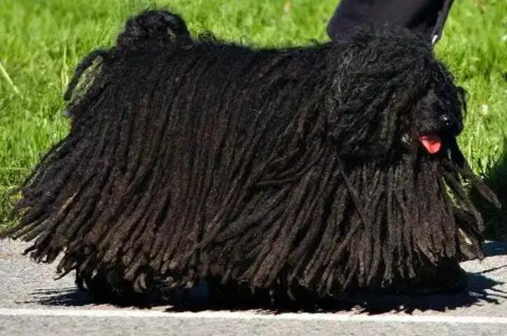 1773636278253944.jpg 1.jpg