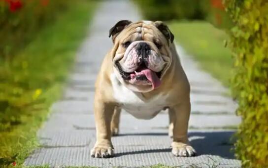 1774426303523174.jpg 1.jpg