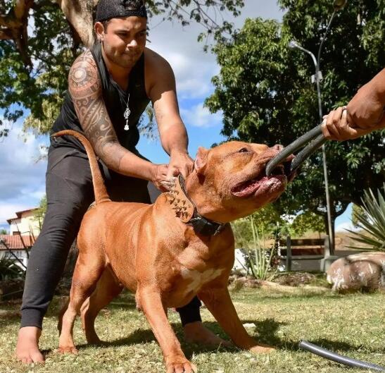 1774426314617598.jpg 01.jpg