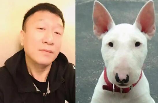 1774426326167605.jpg 2.jpg