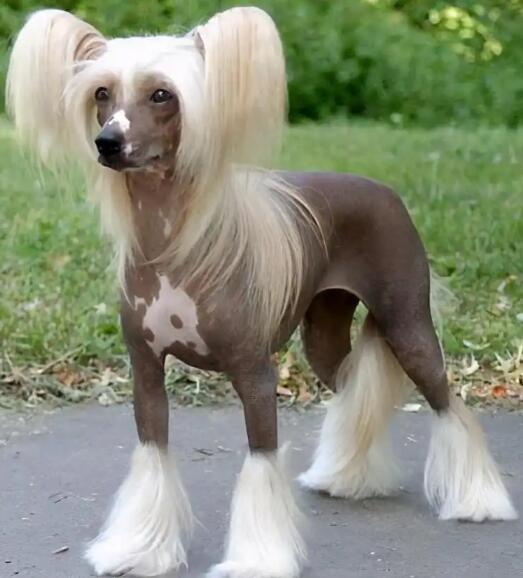 1774426341781875.jpg 3.jpg