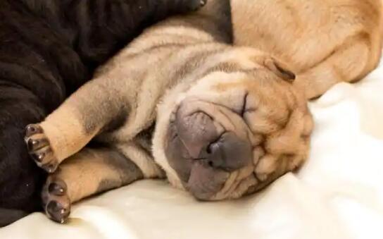 1774426362686117.jpg 4.jpg